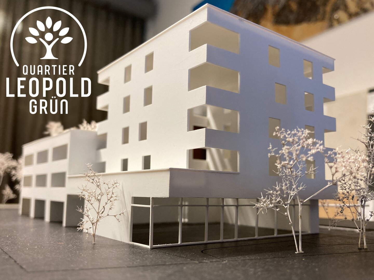 Durchstarten im neuen Standort in der Schützenstraße: